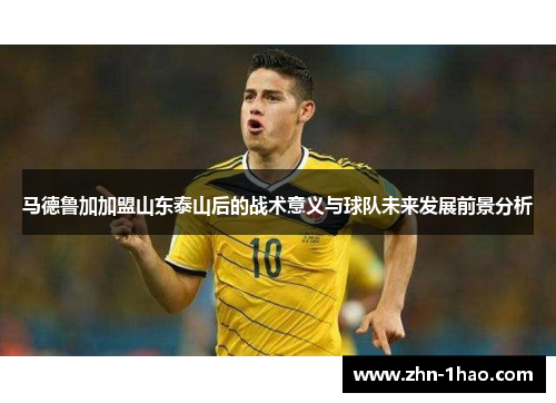 马德鲁加加盟山东泰山后的战术意义与球队未来发展前景分析